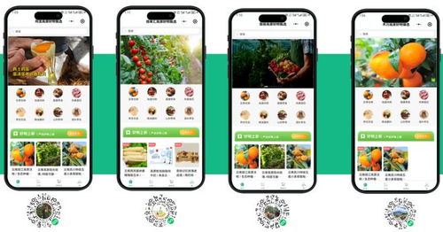 丽江特产平台招募加盟商，首批限量100名，月入2万不是梦